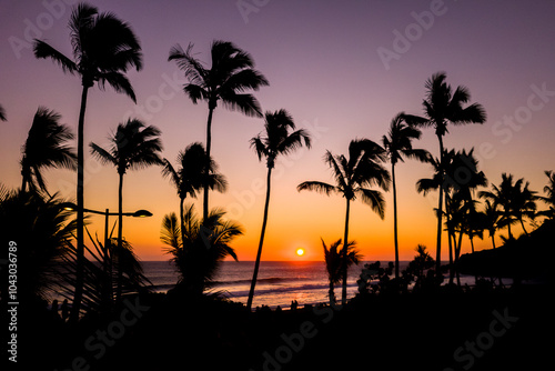 Un coucher de soleil sur l'ocean indien avec un ciel orange et les palmiers au premier plan sur l'Ile de la Reunion