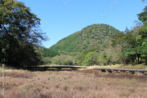 Canvastavla 那須塩原大沼園地から見る新湯富士山とヨシ原