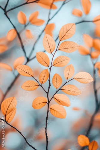 Vibrant Transition of Golden and Peach Leaves