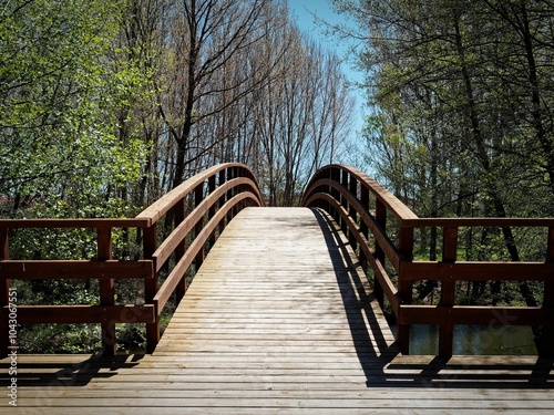 Wooden bridge in a serene park setting under a clear blue sky.