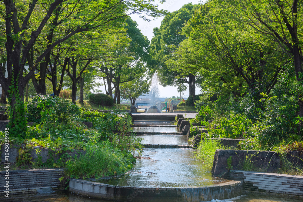 Fototapeta premium 名古屋市の港北公園の風景