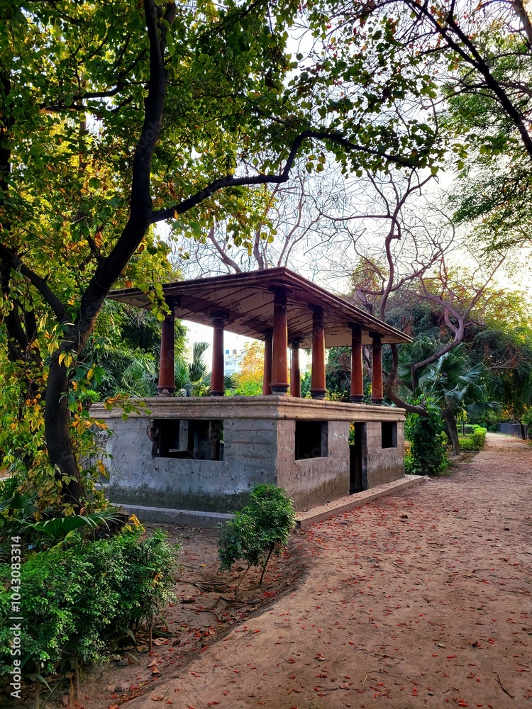 Stunning Natural Photography of old house in the woods, Forest and Rain Stunning Natural Photography of old house in the woods, Forest and Rain