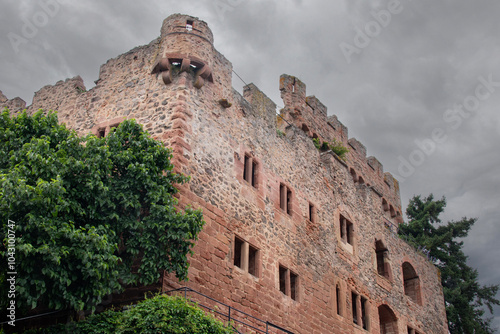 Ruines du château de Kintzheim, construit au 12e siècle. Bas-Rhin photo