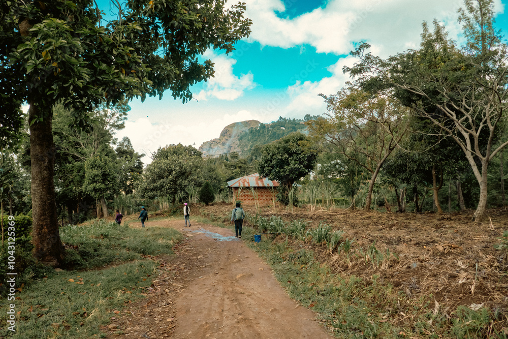 A group of hikers walking amidst a Wasambara tribe homestead at Lushoto in Tanga Region, Tanzania
A group of hikers walking amidst a Wasambara tribe homestead at Lushoto in Tanga Region, Tanzania