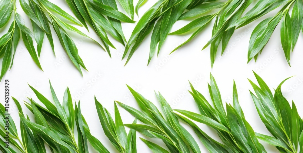 A flat lay of vibrant green leaves arranged on a white background.