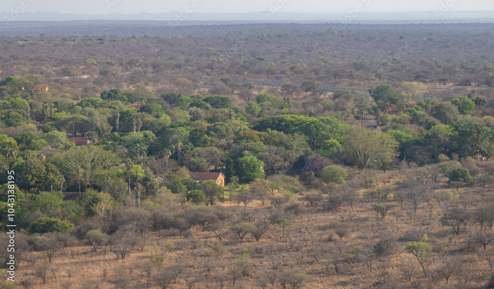 Luftbild Landschaftsbild - Flora Botanik Busch im Krüger National Park - Kruger Nationalpark Südafrika