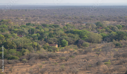 Obraz na płótnie Luftbild Landschaftsbild - Flora Botanik Busch im Krüger National Park - Kruger Nationalpark Südafrika w salonie