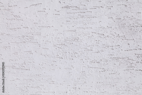 white plastered wall with bark beetle pattern as background photo