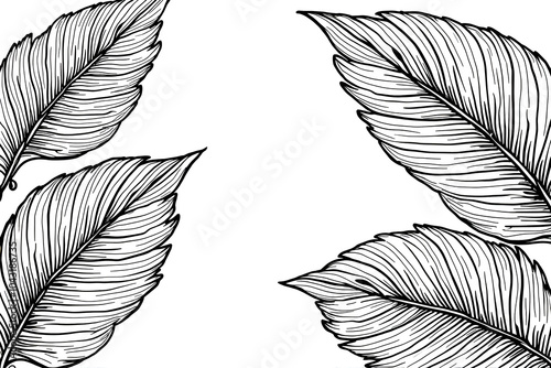 tropical leaves