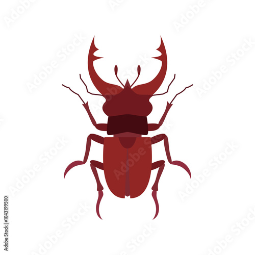 stag beetle isolated