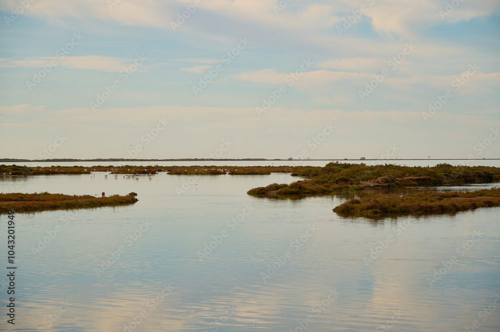 Tranquil water landscape at Ebro Delta, Spain Tranquil water landscape at Ebro Delta, Spain