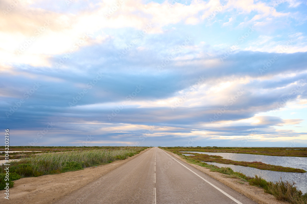 Serene road stretching through the Ebro Delta, Spain Serene road stretching through the Ebro Delta, Spain