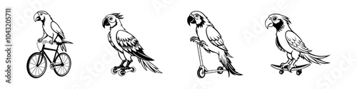 Parrots on bike, skateboard, rollerblade and scooter. Set of vector monochrome sketches in line art style