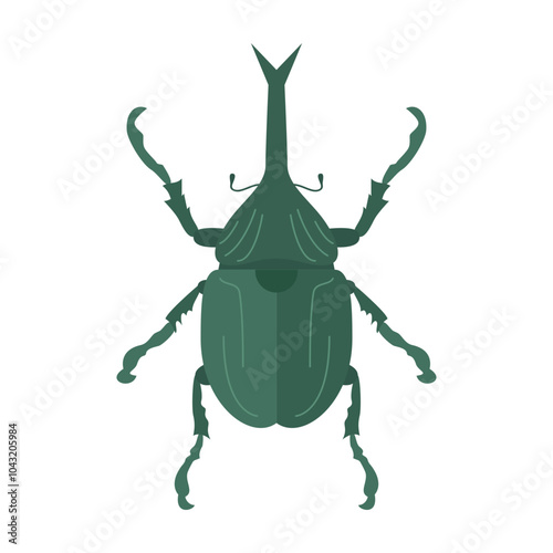 green beetle isolated