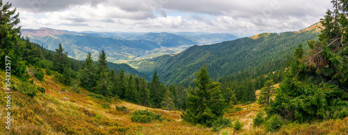 Obraz na płótnie panorama of coniferous forest on the steep slope. cloudy weather. carpathian mountain landscape of ukraine in autumn. scenery of synevyr national park w salonie