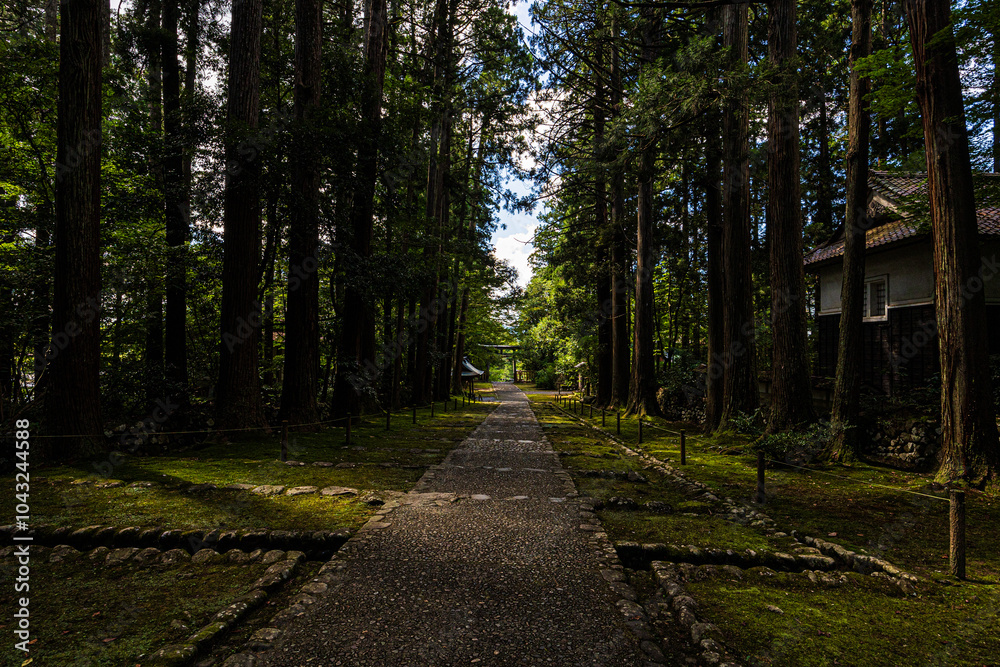 Obraz premium 平泉寺白山神社
