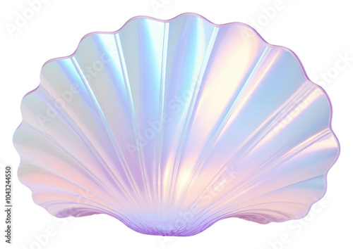 PNG Clam invertebrate translucent fragility. photo