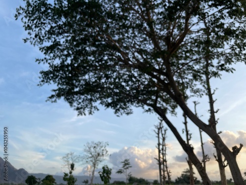 blurred evening view, trees, bright blue sky, natural background