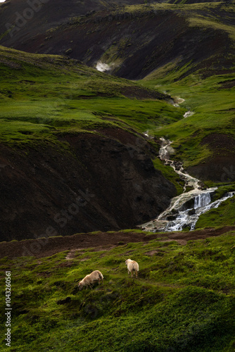 Obraz w ramie Iceland