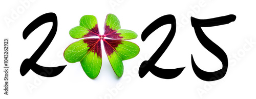 Ein Glückliches Neues Jahr 2025