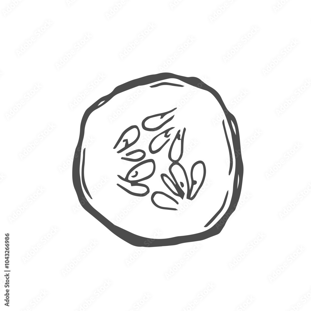 Hand drawn Cucumber Slices Sketch Illustration Hand drawn Cucumber Slices Sketch Illustration
