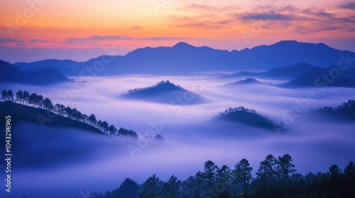 Thick fog covering rolling hills at sunrise, casting a mysterious and serene glow over the early morning landscape