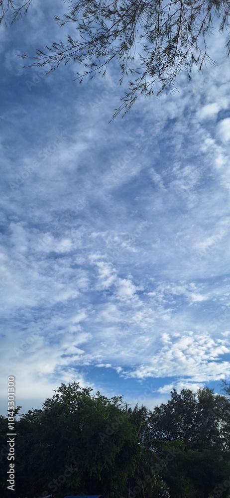 Obraz premium sky and clouds