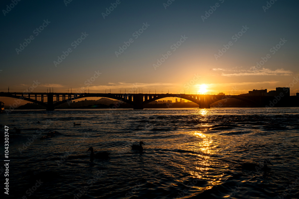 ducks swim in the Yenisei at sunset against the background of the communal bridge ducks swim in the Yenisei at sunset against the background of the communal bridge