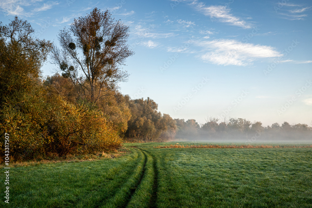 Fototapeta premium Heide- und Wiesenlandschaft