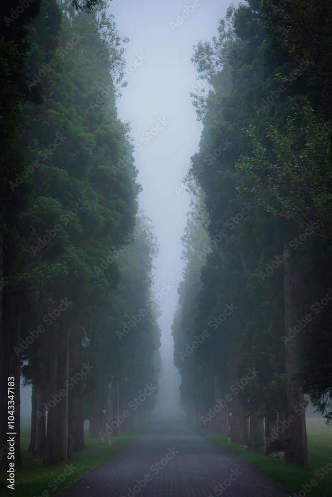 Fototapeta premium 北海道 トラピスト大修道院の風景