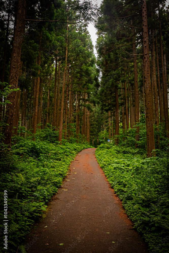 Fototapeta premium 北海道 トラピスト大修道院の風景