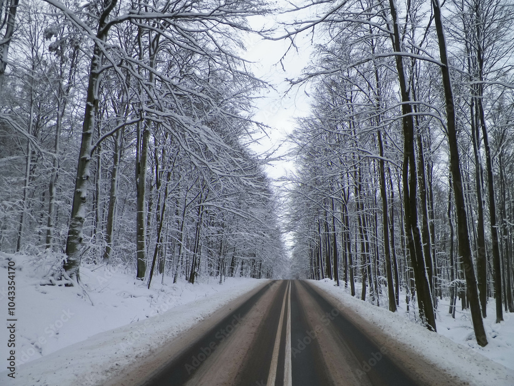 Road through a forest covered with snow. Wiezyca Poland. Road through a forest covered with snow. Wiezyca Poland.