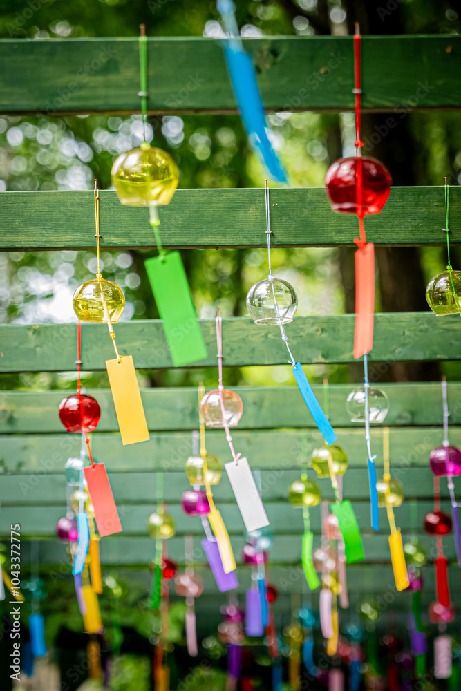 Fototapeta premium 富良野 アンブレラスカイ