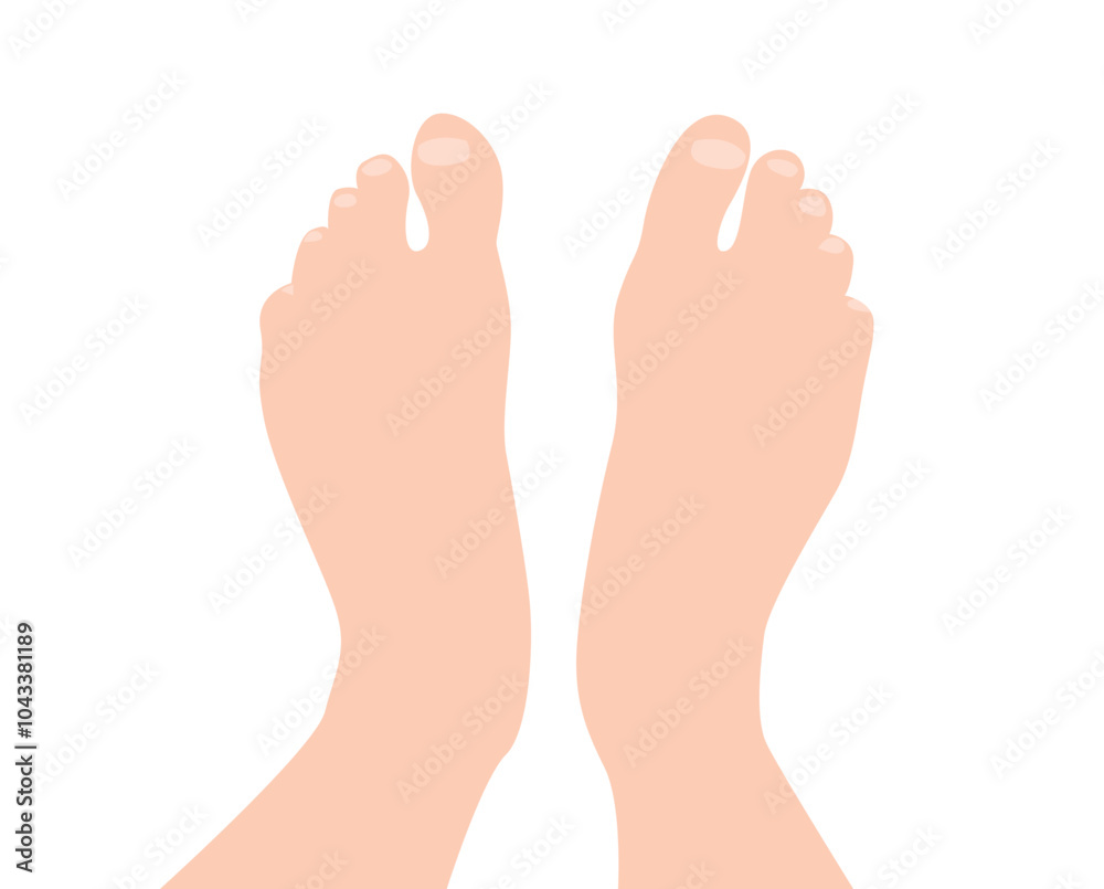 Human Feet Top View Isolated on White. Anatomy and body parts vector art Human Feet Top View Isolated on White. Anatomy and body parts vector art