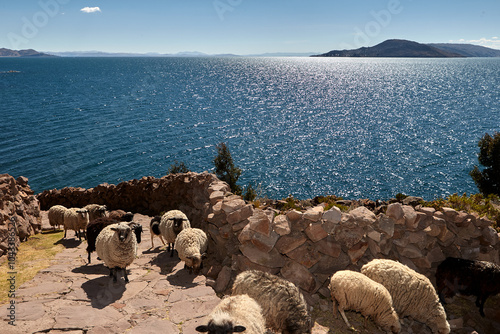 Where the sky meets the sacred waters. Lake Titicaca, a masterpiece of nature. Taquile Island photo
