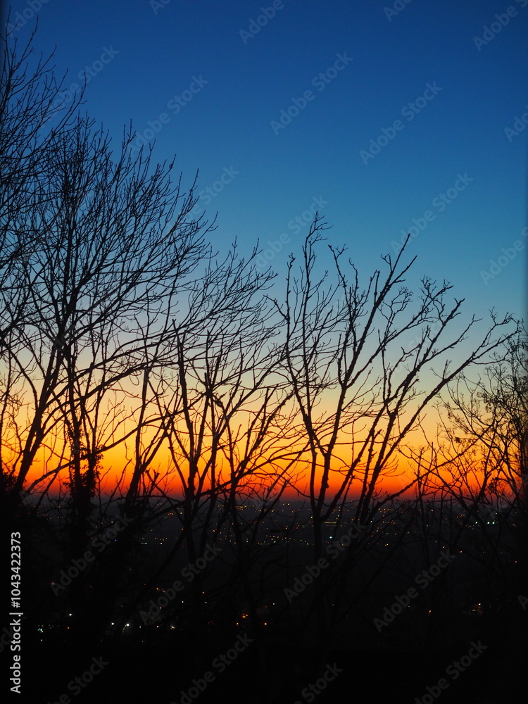 Obraz premium OLYMPUS DIGITAL CAMERA