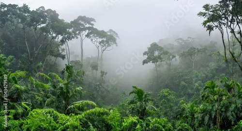 beautiful image of nature