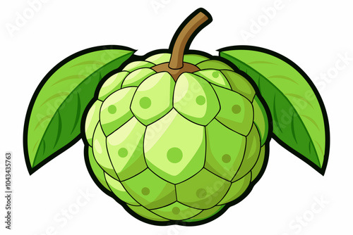  Delicious fruit cherimoya vector art illustration