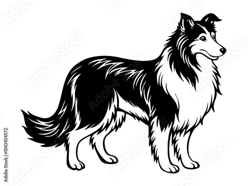 collie dog full body icon. Black and white logo, dog silhouette, engraving style. Pet character. Vector illustration