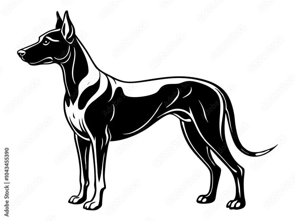 Obraz premium Great Dane dog full body icon. Black and white logo, dog silhouette, engraving style. Pet character. Vector illustration