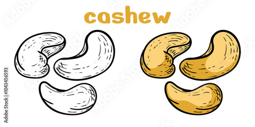cashew hand drawn engrave style vector art icon