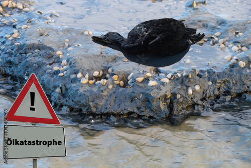 Ölkatastrophe toter Vogel auf Strand photo