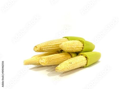 Group of fresh and raw baby corn or young corn covered with the husk isolated on white background