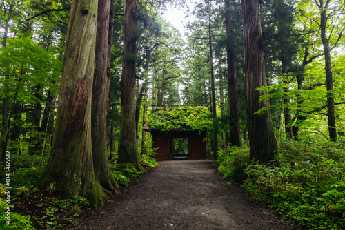 Togakushi Shrine near Nagano in Japan photo