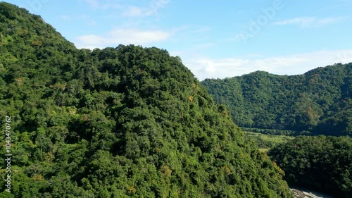 landscape with trees