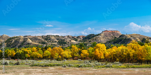 Colorful Trees in Theodore Roosevelt National Park