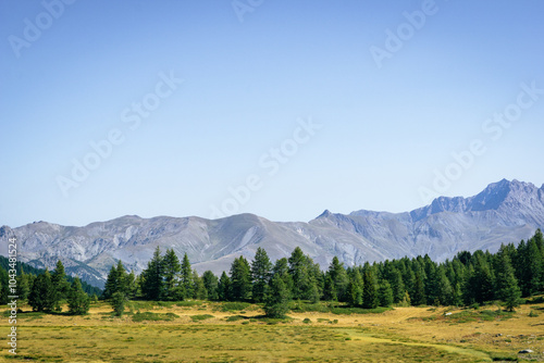 Wild mountains with forests and green in le Lauzet-Ubaye, Alpes-de-Haute-Provence