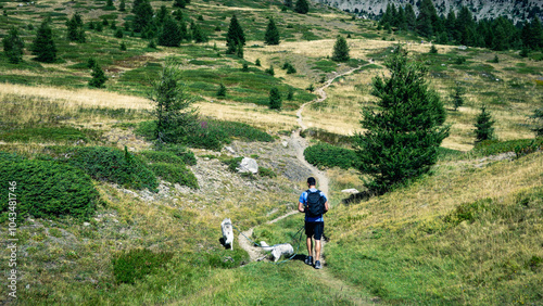 Male hiker with siberian husky dogs in Col du Lauzet of Saint-Crepin. Hautes-Alpes, Alps, France