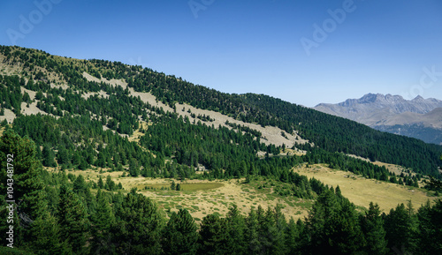 Wild mountains with forests and green in le Lauzet-Ubaye, Alpes-de-Haute-Provence
