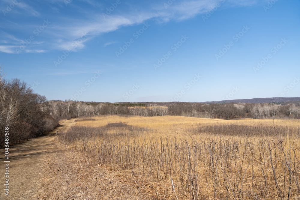 Fototapeta premium Views of dried prairie and trees during a sunny spring day at a MN state park.